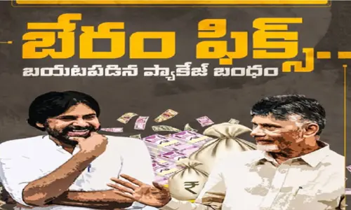 బేరం ఫిక్స్ : పవన్ కల్యాణ్ ప్రకటనపై వైసీపీ రియాక్షన్