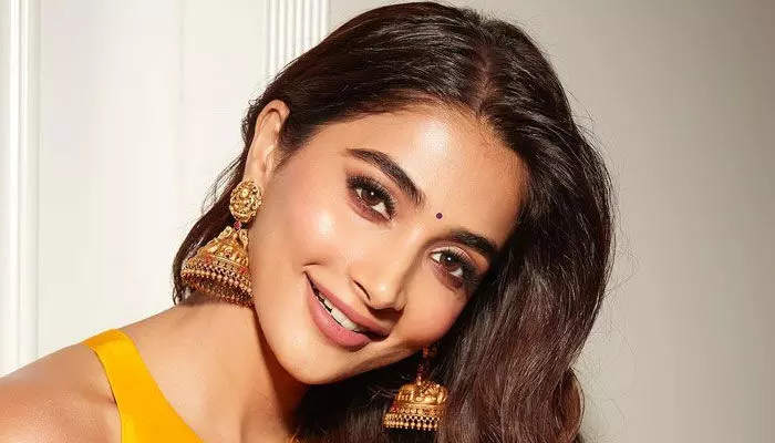 అవకాశాలు లేనప్పుడు డబ్బు కోసం ఆ పనులు చేయడంలో తప్పేముంది? పూజకు సలహా ఇచ్చిన ఇలియానా.. అవకాశాలు లేనప్పుడు డబ్బు కోసం ఆ పనులు చేయడంలో తప్పేముంది? పూజకు సలహా ఇచ్చిన ఇలియానా..
