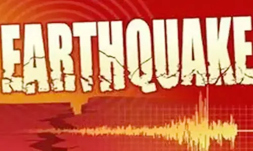 Earthquake: ఒక్కసారిగా ఇళ్ల నుంచి పరుగులు తీసిన జనం