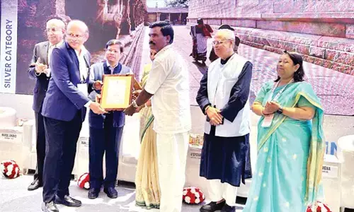 అరుదైన గుర్తింపు: జాతీయస్థాయిలో సత్తా చాటిన లేపాక్షి