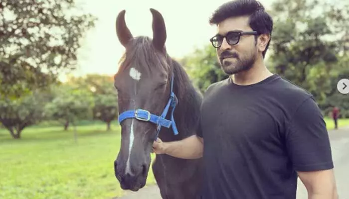 కొత్త ఫ్రెండ్ను ఇంటికి తెచ్చుకున్న Ram Charan.. పిక్స్ వైరల్ కొత్త ఫ్రెండ్ను ఇంటికి తెచ్చుకున్న Ram Charan.. పిక్స్ వైరల్