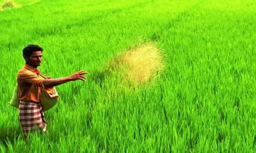 Farmers : ఈ పురుగుల మందులు వాడొద్దు.. రైతులకు హెచ్చరిక..