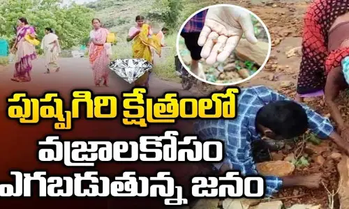 వజ్రాల వేట.. పుష్పగిరికి క్యూ కట్టిన జనం