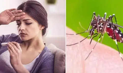 Dengue Home Remedy: డెంగ్యూ నుండి త్వరగా కోలుకోవాలంటే.. ఈ డ్రింక్స్‌ తీసుకుంటే చాలు
