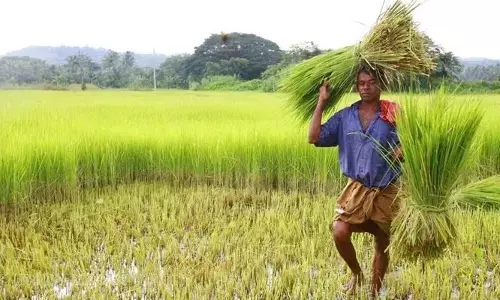 రైతులకు ఏపీ ప్రభుత్వం గుడ్ న్యూస్.. 48 గంటల్లోనే ధాన్యం డబ్బులు