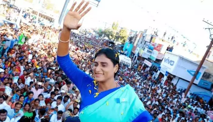 అసెంబ్లీ బరిలో YS షర్మిల.. పోటీచేసే నియోజకవర్గం ఖరారు అసెంబ్లీ బరిలో YS షర్మిల.. పోటీచేసే నియోజకవర్గం ఖరారు