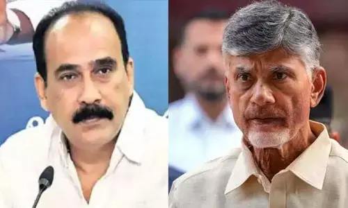 చంద్రబాబును ఇబ్బంది పెట్టకూడదు.. వైసీపీ ఎమ్మెల్యే బాలినేని కీలక వ్యాఖ్యలు