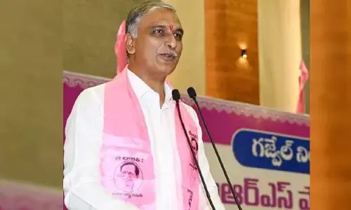 నాడు బీటలు నేడు సిరుల పంటలు : మంత్రి