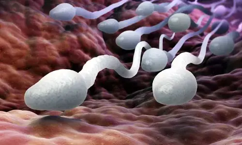 SPERM RACING : ఇదెక్కడి కథరా బాబు.. స్పెర్మ్ రేస్ కూడా మొదలైపోయిందిగా.. లైవ్ టెలికాస్ట్ కూడా..