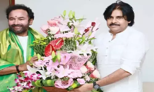 ఢిల్లీకి పవన్ కల్యాణ్: పొత్తులపై బీజేపీ అగ్రనాయకత్వంతో చర్చించే ఛాన్స్