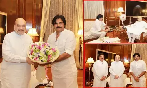 Delhi: అమిత్ షాను కలిసిన పవన్.. ప్రధానంగా చర్చించిన అంశం ఇదే..