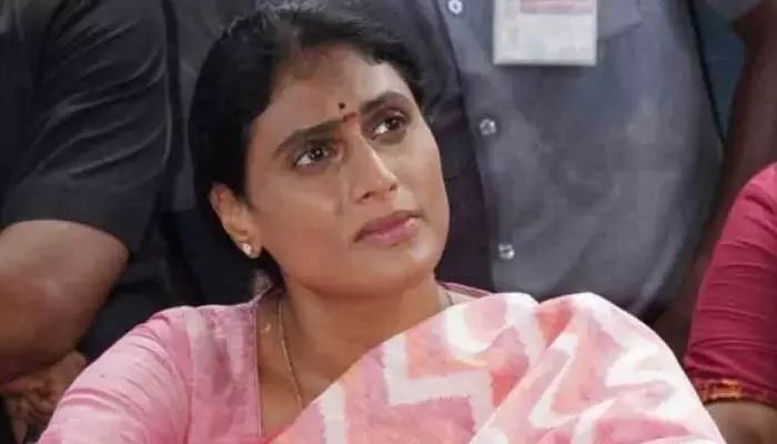 షర్మిల ఎవరో నాకు తెలియదు.. రాజశేఖర్ రెడ్డి బిడ్డ అయితే పెద్ద తోపా? షర్మిల ఎవరో నాకు తెలియదు.. రాజశేఖర్ రెడ్డి బిడ్డ అయితే పెద్ద తోపా?