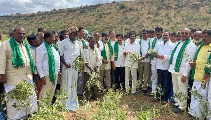 ప్యాపిలి, డోన్ మండలాలను కరవు మండలాలుగా ప్రకటించాలి: TDP ప్యాపిలి, డోన్ మండలాలను కరవు మండలాలుగా ప్రకటించాలి: TDP