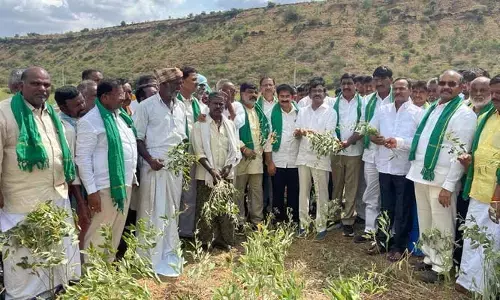 ప్యాపిలి, డోన్ మండలాలను కరవు మండలాలుగా ప్రకటించాలి: TDP