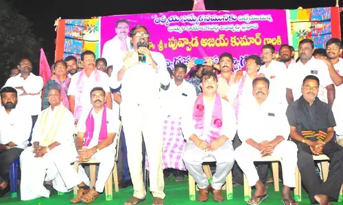 మురికి కాల్వను నందనవనం గా చేసింది నేనే