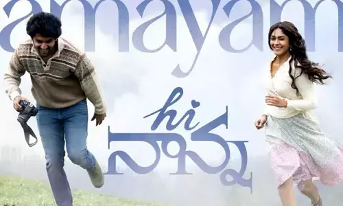 నాని ‘హాయ్‌ నాన్న’లో మరో హీరోయిన్‌