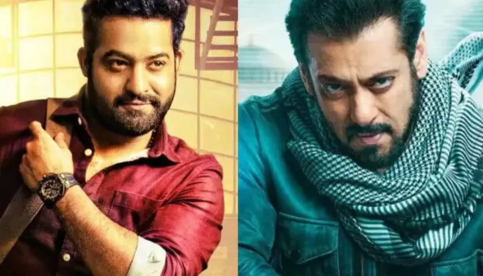 ఎన్టీఆర్ పేరుని ఫుల్గా వాడేస్తున్న సల్మాన్ ఖాన్ ఎన్టీఆర్ పేరుని ఫుల్గా వాడేస్తున్న సల్మాన్ ఖాన్