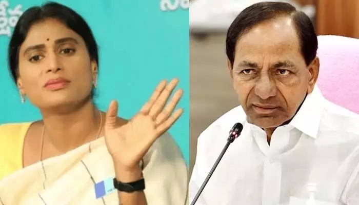 రేవంత్ రెడ్డి బాటలో షర్మిల..ధరణిని టార్గెట్ చేస్తూ సంచలన ఆరోపణలు రేవంత్ రెడ్డి బాటలో షర్మిల..ధరణిని టార్గెట్ చేస్తూ సంచలన ఆరోపణలు