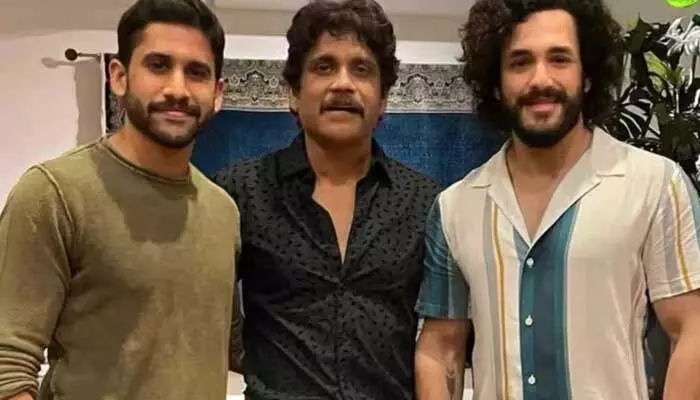 అక్కినేని అభిమానులకి దివాళి గిఫ్ట్.. పండుగ వేళ నాగార్జున ఇంటికి రాబోతున్న కొత్త కోడలు! అక్కినేని అభిమానులకి దివాళి గిఫ్ట్.. పండుగ వేళ నాగార్జున ఇంటికి రాబోతున్న కొత్త కోడలు!