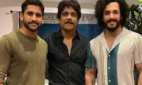 అక్కినేని అభిమానులకి దివాళి గిఫ్ట్.. పండుగ వేళ నాగార్జున ఇంటికి రాబోతున్న కొత్త కోడలు!