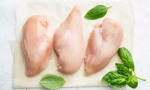 Chicken Price: మాంసం ప్రియులకు భారీ గుడ్ న్యూస్..