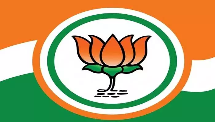బీజేపీ కింగ్ మేకర్ కానుందా? బీజేపీ కింగ్ మేకర్ కానుందా?