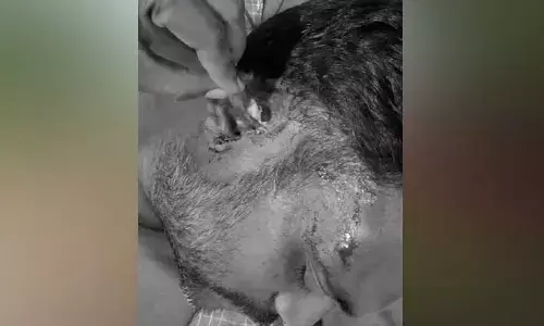బీఎస్పీ కార్యకర్త పై బీఆర్ఎస్ అభ్యర్థి కోనప్ప అనుచరుల దాడి