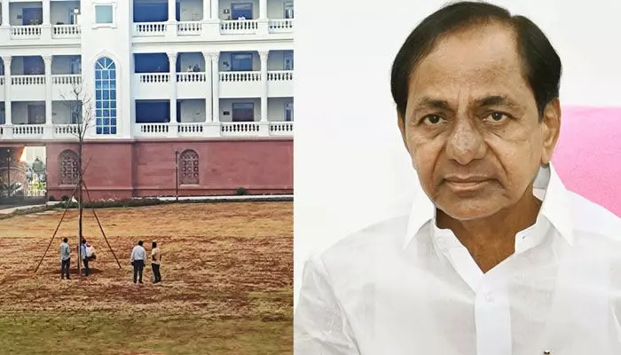 సచివాలయంలో ఎండిపోయిన ‘మహాగని’ మొక్క.. ఫలించని KCR సెంటిమెంట్ మంత్రం సచివాలయంలో ఎండిపోయిన ‘మహాగని’ మొక్క.. ఫలించని KCR సెంటిమెంట్ మంత్రం