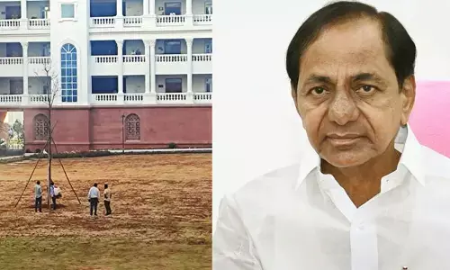 సచివాలయంలో ఎండిపోయిన ‘మహాగని’ మొక్క.. ఫలించని KCR సెంటిమెంట్ మంత్రం