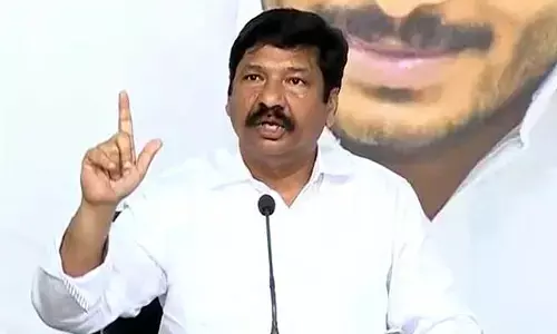 AP News: ఆ సామాజికవర్గం ఓట్లు తొలగించాలంటూ సీఈవోకు వైసీపీ ఫిర్యాదు