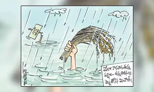 కార్టూన్: మిచౌంగ్ తుపాన్ కారణంగా తీవ్రంగా నష్టపోయిన రైతులు (06-12-2023)