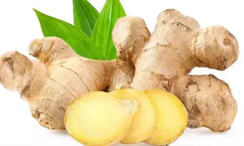 Ginger : వర్షాకాలంలో అల్లం తినడం వలన ఎన్ని ప్రయోజనాలో తెలుసా?