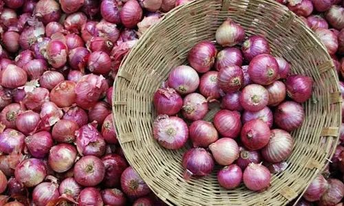 ఉల్లి లారీ బోల్తా... బస్తాలు ఎత్తుకెళ్లిన గ్రామస్తులు