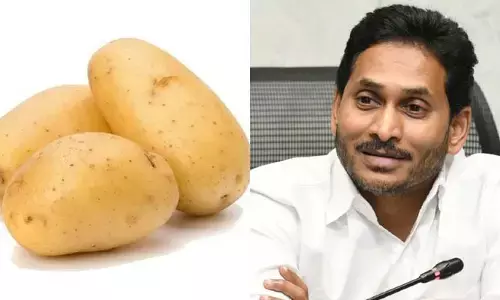 పొటాటో దగ్గర దొరికిపోయిన సీఎం జగన్.. సోషల్ మీడియాలో వీడియో వైరల్