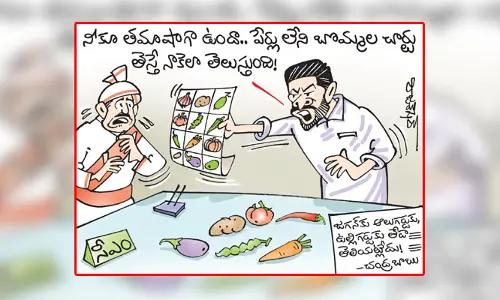 కార్టూన్: సీఎం జగన్‌పై టీడీపీ చీఫ్ చంద్రబాబు విమర్శలు (9-12-2023)
