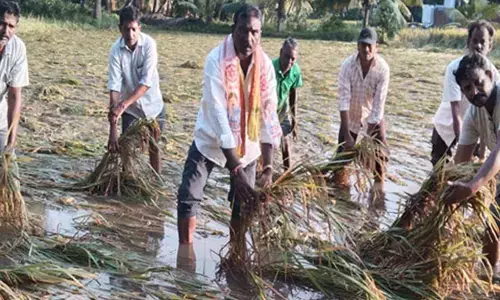 ఆదుకోండి: ఏపీకి కేంద్రబృందం...మరికాసేపట్లో పర్యటన