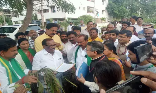 రైతాంగాన్ని ఆదుకోండి:పంట నష్టం అంచనకు వచ్చిన కేంద్ర బృందానికి టీడీపీ వినతి
