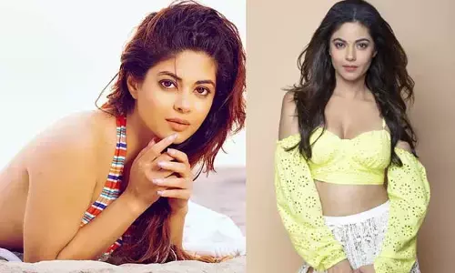 ప్లీజ్ ఒక్క చాన్స్ ఇవ్వండి.. ఓపెన్‌గా అడిగేసిన పవన్ కల్యాణ్ హీరోయిన్
