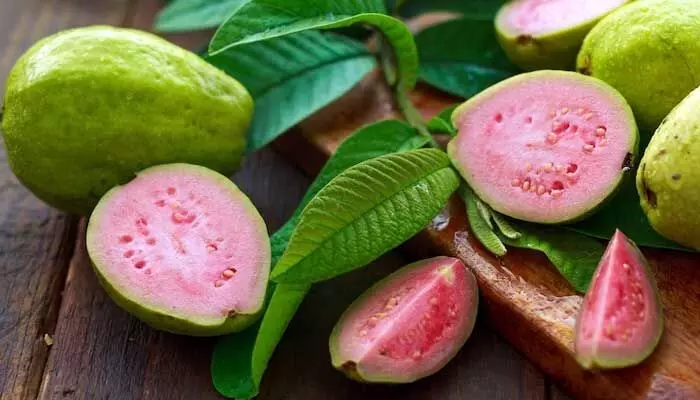 Guava : పింక్ జామ పండ్లను తింటే ఇన్ని లాభాలున్నాయా?