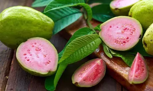 Guava : పింక్ జామ పండ్లను తింటే ఇన్ని లాభాలున్నాయా?