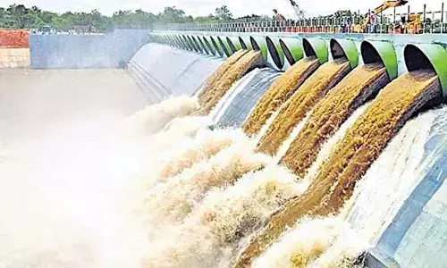 పాలమూరు పచ్చగా అయ్యేదెప్పుడు!?