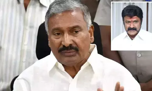 నియోజకవర్గాన్ని గాలికొదిలేశారు.. ఎమ్మెల్యే బాలకృష్ణపై మంత్రి పెద్దిరెడ్డి ఘాటు వ్యాఖ్యలు
