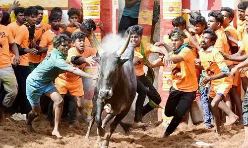 BREAKING : తమిళనాడులో అట్టహాసంగా ప్రారంభమైన జల్లికట్టు పోటీలు..