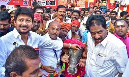 BREAKING : అలంగానల్లూరులో జల్లికట్టు పోటీలు ప్రారంభం..