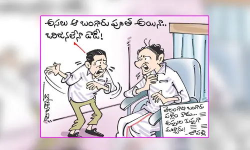 కార్టూన్: బీఆర్ఎస్ పార్టీపై మంత్రి జూపల్లి విమర్శలు (19-1-2024)