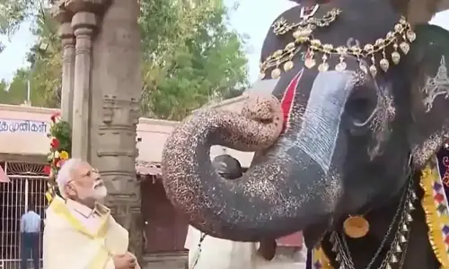 మోడీని ఆశీర్వదించిన ఏనుగు: వీడియో వైరల్