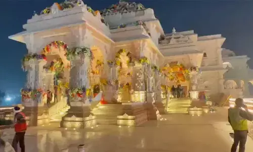 అల అయోధ్యాపురిలో.. వీడియో చూశారా?