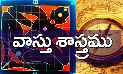పొరపాటున కూడా దక్షిణ దిశలో ఇవి ఉండకూడదు.. అవి ఏంటో తెలుసా