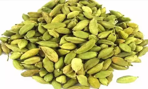 cardamom : యాలకుల గురించి ఈ విషయాలు తప్పక తెలుసుకోవాలి..