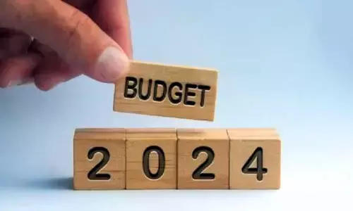 ఎన్నికలే హద్దుగా పద్దు